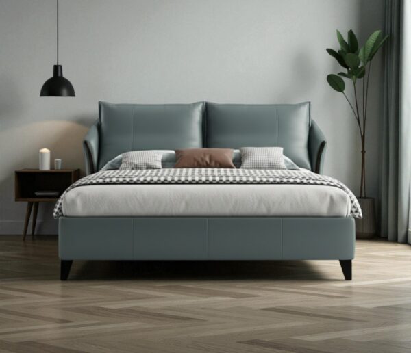 Cozy Bed back with storage